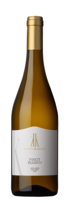 Pinot Bianco